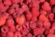 成熟山莓浆果图片