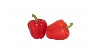 两个红色菜椒图片