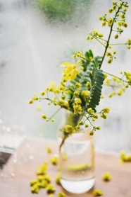 玻璃瓶水培花卉图片