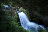 森林岩石瀑布图片