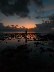 退潮海边黄昏美景图片