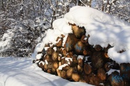 冬天雪地木柴堆图片