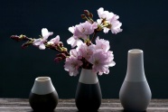 花瓶樱花插花图片
