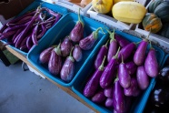 市场紫色茄子图片