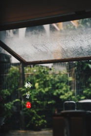 秋分时节雨纷纷图片