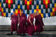 西藏佛教僧人图片