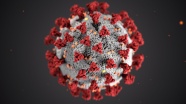 新型冠状病毒显微镜图片