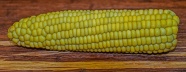 黄色熟玉米棒图片
