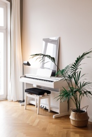 白色钢琴高清图片
