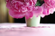 粉色花卉非主流图片