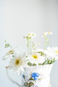 白色菊花插花小清新图片