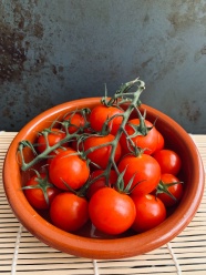 一碗美味西红柿图片