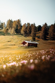 秋季山坡小木屋图片