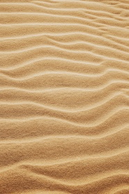沙漠中的细沙丘图片