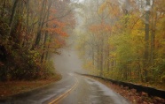 秋天清晨雾气公路风景图片