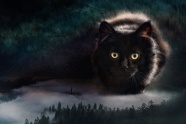 纯黑色小猫摄影图片