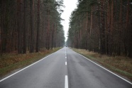 森林笔直公路图片