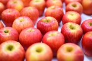 新鲜成熟红苹果图片