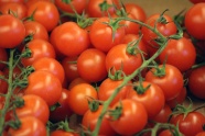 成熟番茄西红柿图片