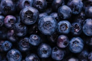 新鲜成熟蓝莓水果图片
