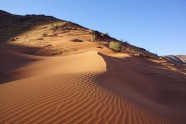 非洲沙丘荒漠景观图片