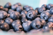 蓝莓浆果近景摄影图片