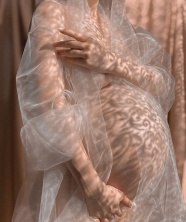 仙气朦胧孕妇照图片
