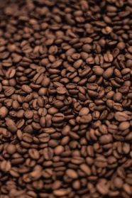 猫屎咖啡豆背景图片