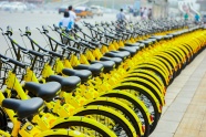 黄色共享单车图片