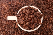 棕色摩卡咖啡豆图片