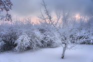 冬季户外白雪积雪景观图片