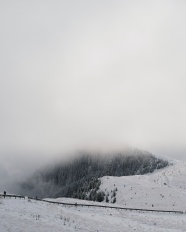 高山树林雪景图片