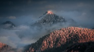 云雾缭绕雪山树林图片