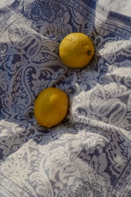两个柠檬图片
