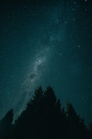 夜晚树影璀璨星空图片