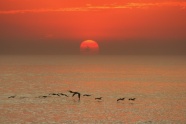 黄昏海上日落天空景观图片