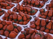 红色丹东大草莓图片