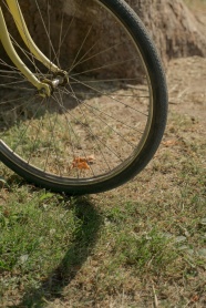 自行车车轮特写图片