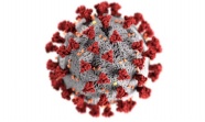 冠状病毒图片素材
