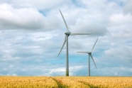 秋季麦田能源风车图片