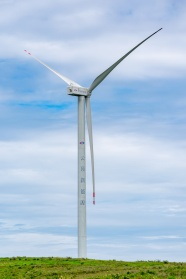风电场风力涡轮机图片