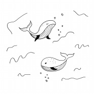 海豚手绘简笔画图片