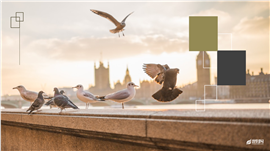 旅行画册家乡介绍图片集PPT模板