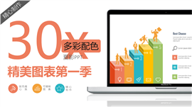 30页多彩配色精美PPT图表
