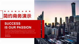 简约实用商务演示述职报告PPT模板