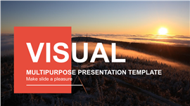 欧美品牌商务市场宣传PPT模板