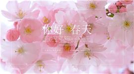 你好春天小清新粉色樱花PPT模板