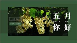 五月你好创意图文工作计划ppt模板