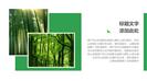 画册风绿色环保旅游介绍城市宣传PPT模板
