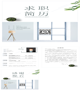 清新简约个人简历求职信PPT模板